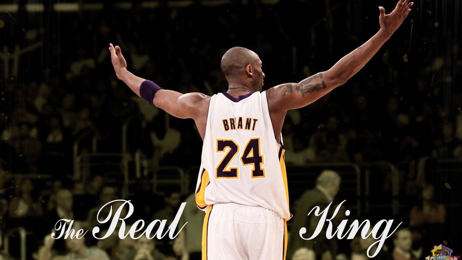 雄魔术队实力爆发，轻松击败对手，魔术雄鹿