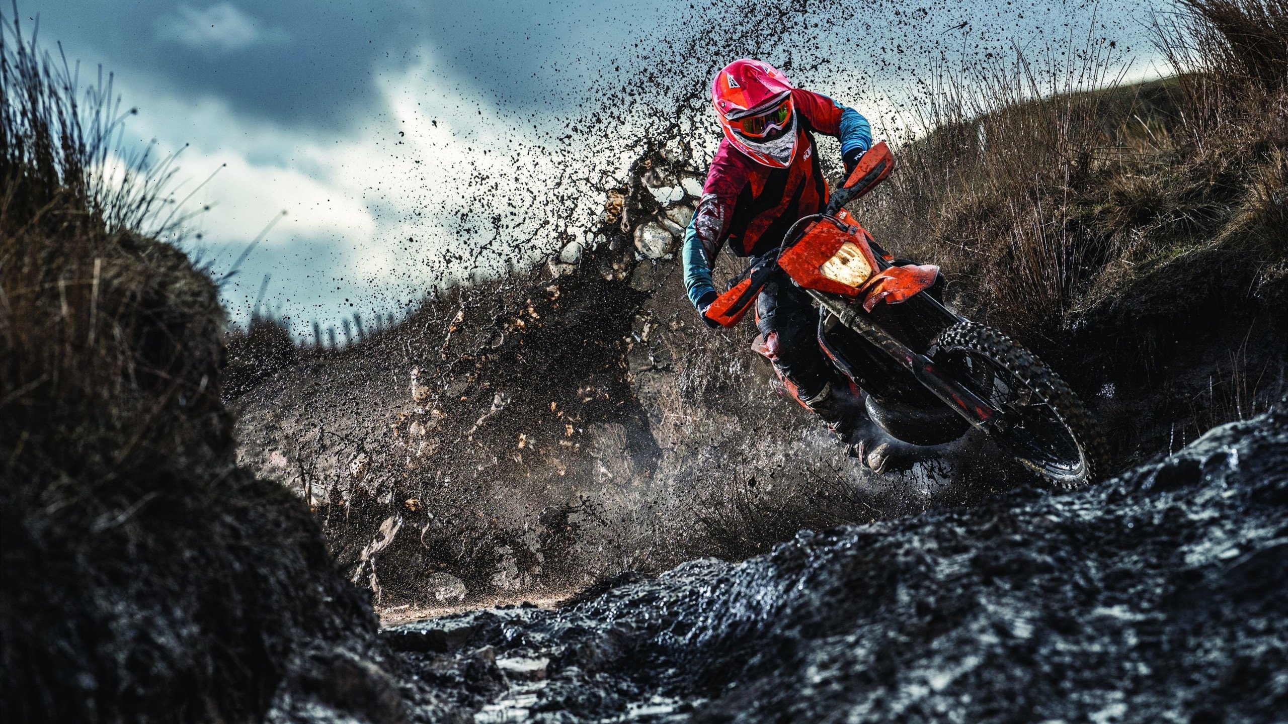 体育文化纪录片展播季覆盖全国多地校园，体育纪录片名字